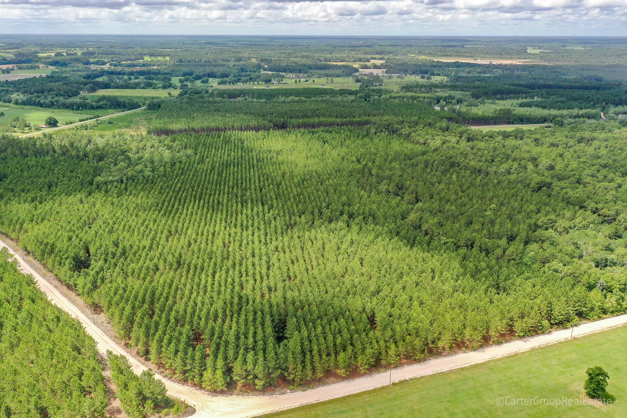 Baxley, Appling County, GA Recreational Property, Timberland Property