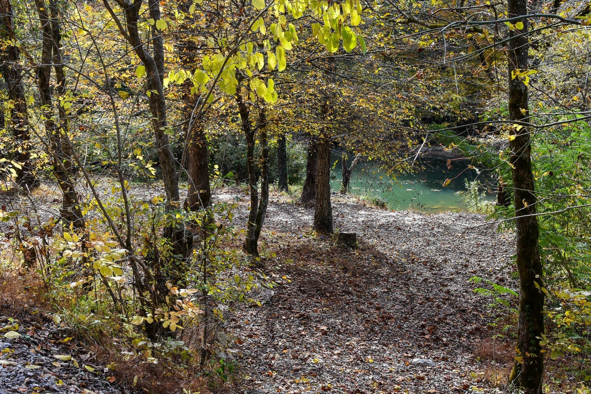 Huntsville, Scott County, TN Recreational Property, Undeveloped Land, Hunting Property for sale