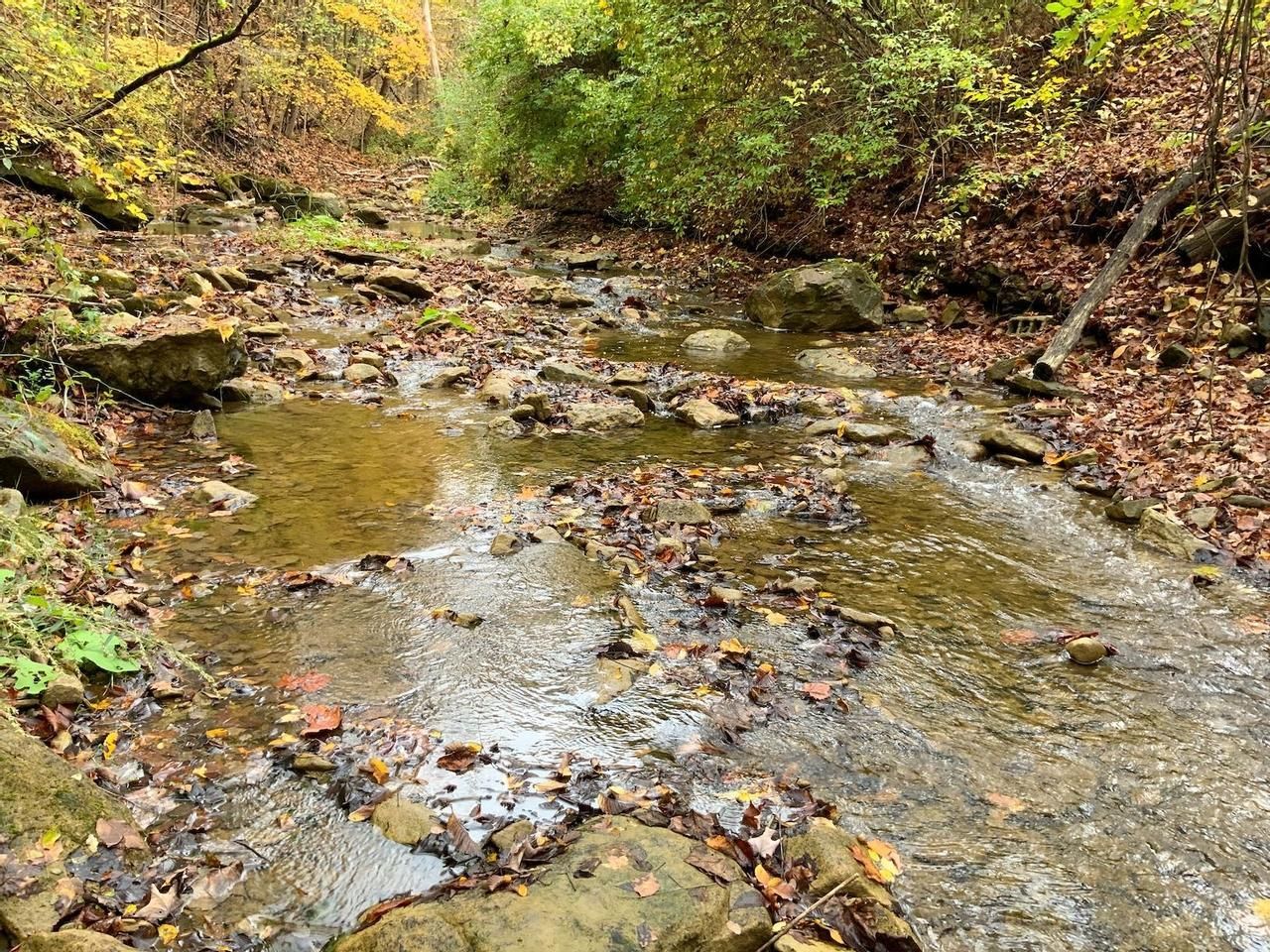 Rayland, Jefferson County, OH Recreational Property for sale Property