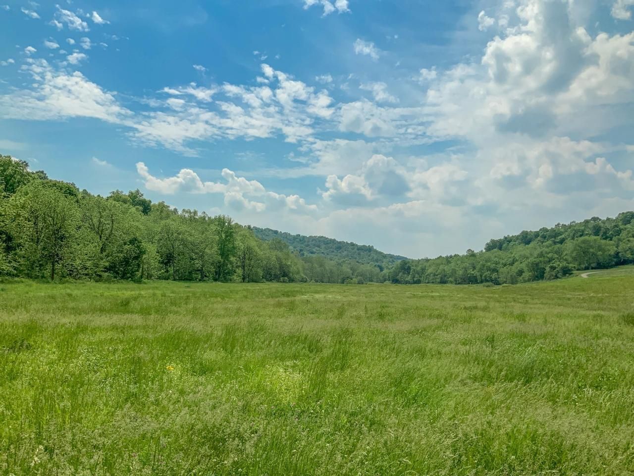 Sarahsville, Noble County, OH Recreational Property, Hunting Property