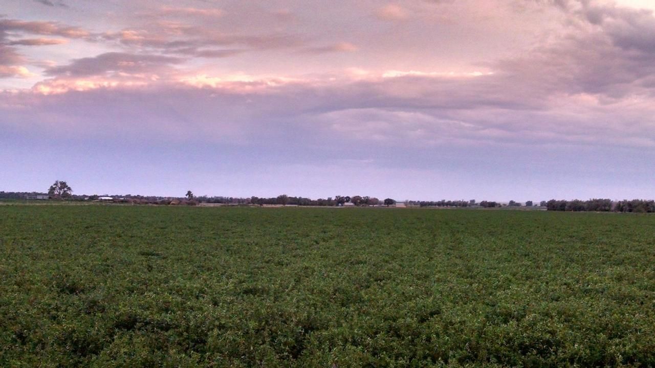 Crowley, Crowley County, CO Farms and Ranches for sale Property ID