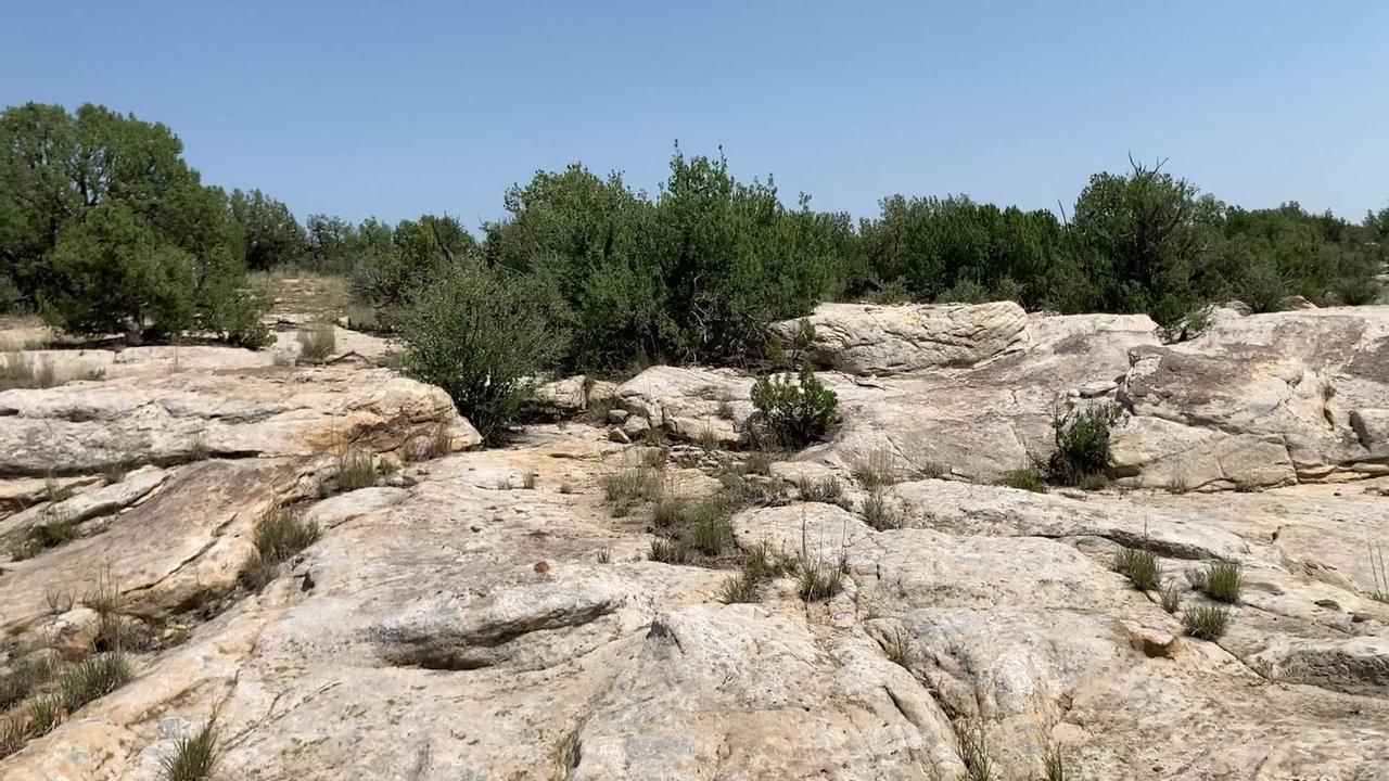 La Junta, Otero County, CO Farms and Ranches, Undeveloped Land, Hunting Property for sale