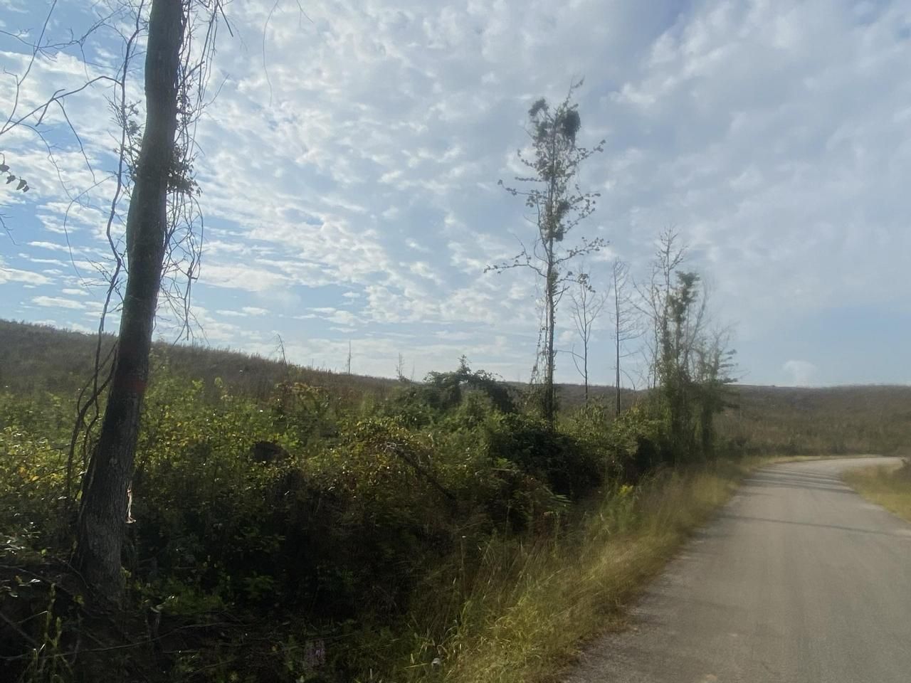 Booneville, Prentiss County, MS Recreational Property, Hunting Property