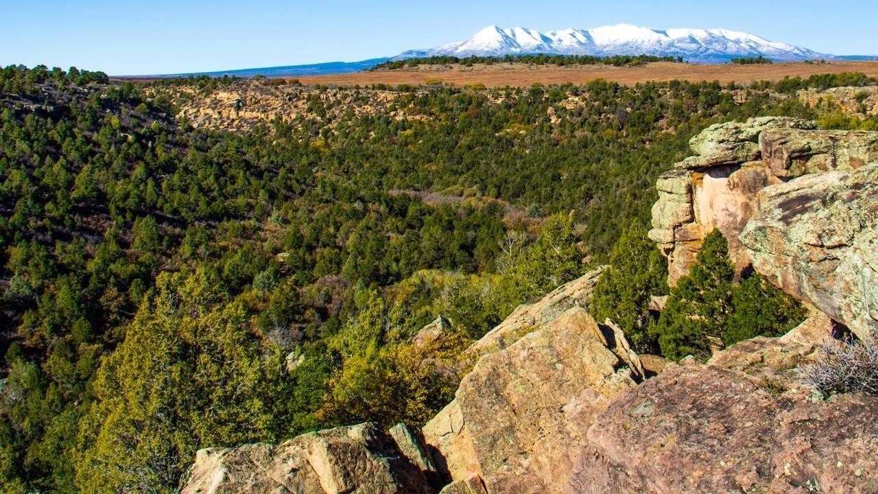 Monticello, San Juan County, UT Farms and Ranches, Hunting Property