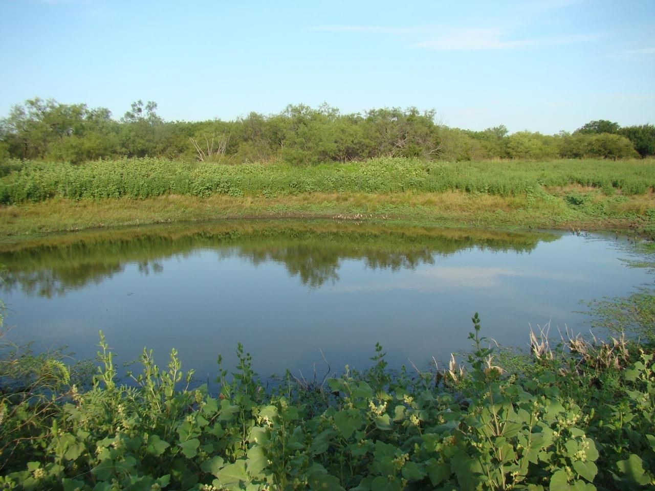 Eastland, Eastland County, TX Recreational Property, Hunting Property