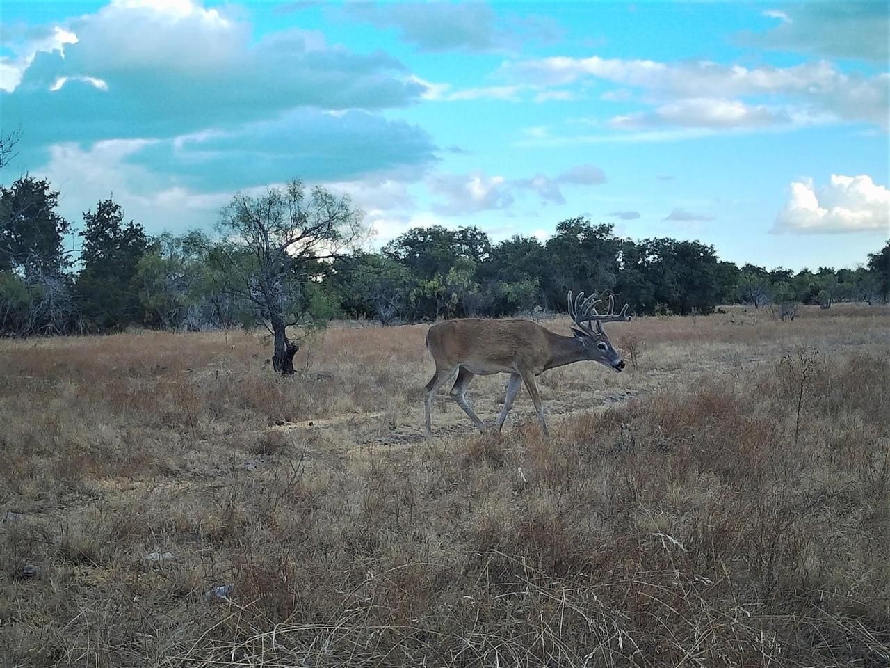 Eldorado, Schleicher County, TX Farms and Ranches, Hunting Property