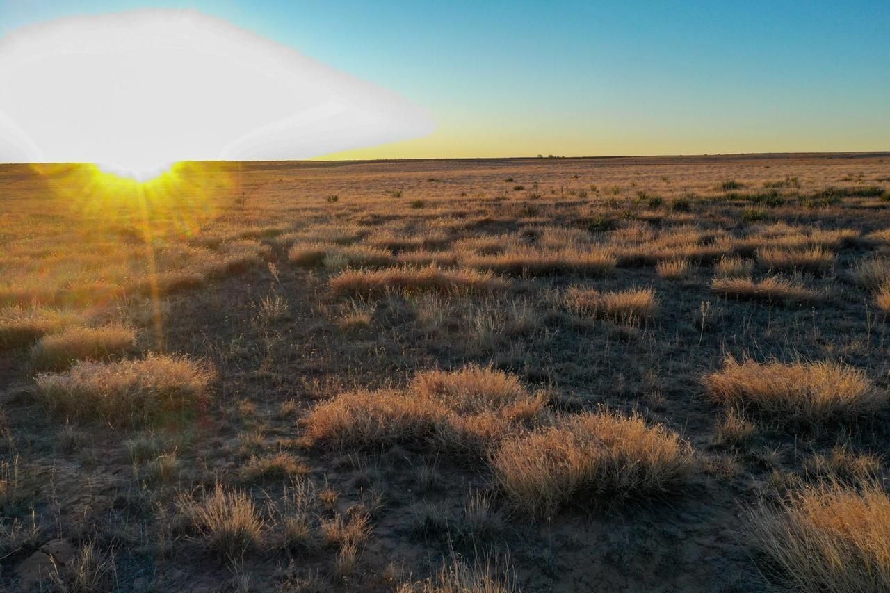 Sturgis, Cimarron County, OK Farms and Ranches for sale Property ID 337810621 LandWatch