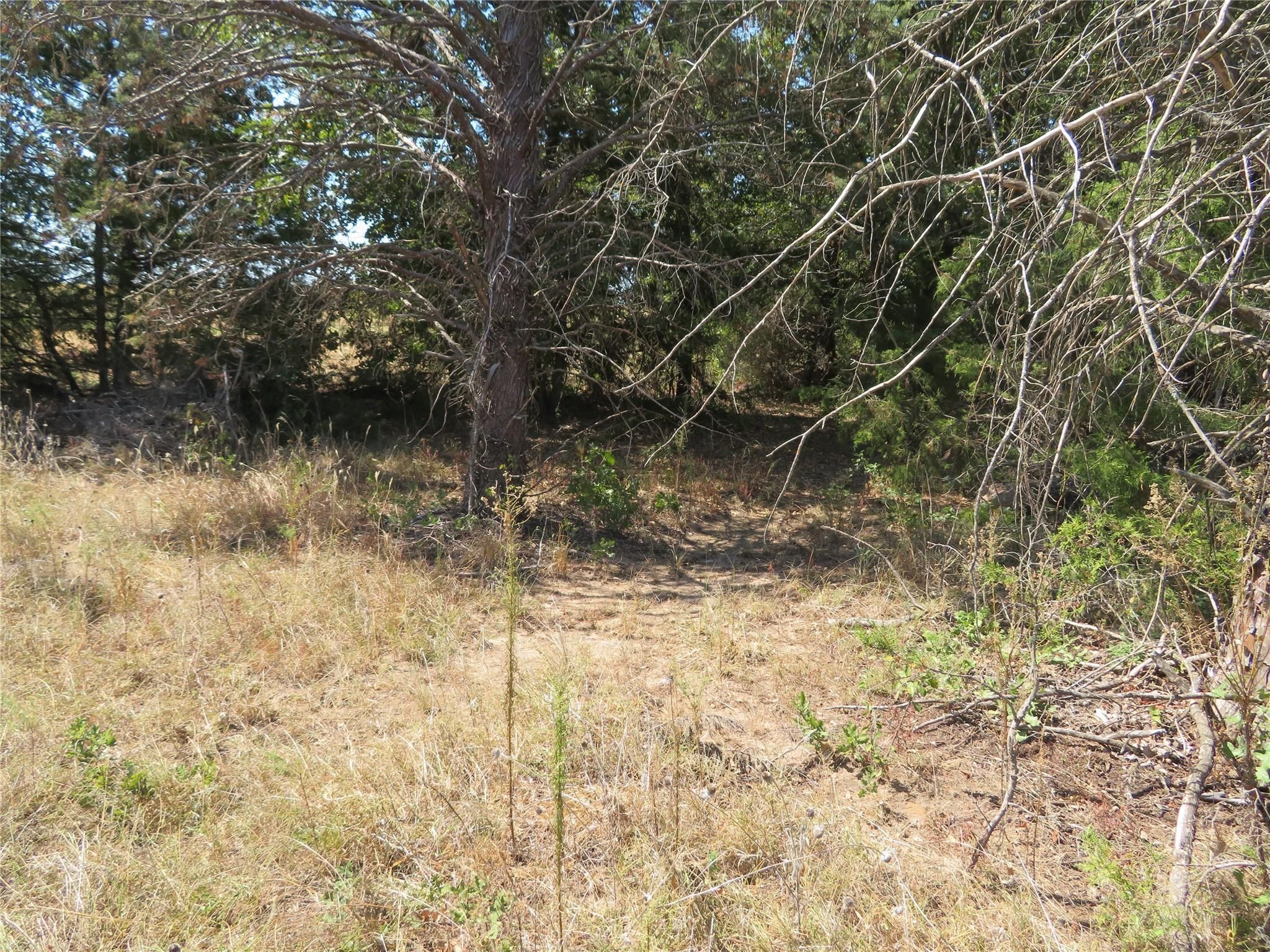 Bowie, Montague County, TX Farms and Ranches, Horse Property for sale