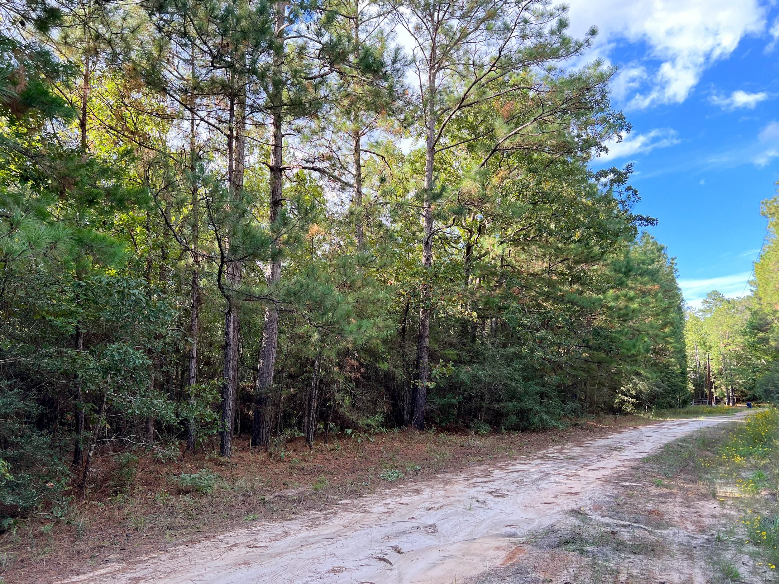Colmesneil, Tyler County, TX Recreational Property, Hunting Property