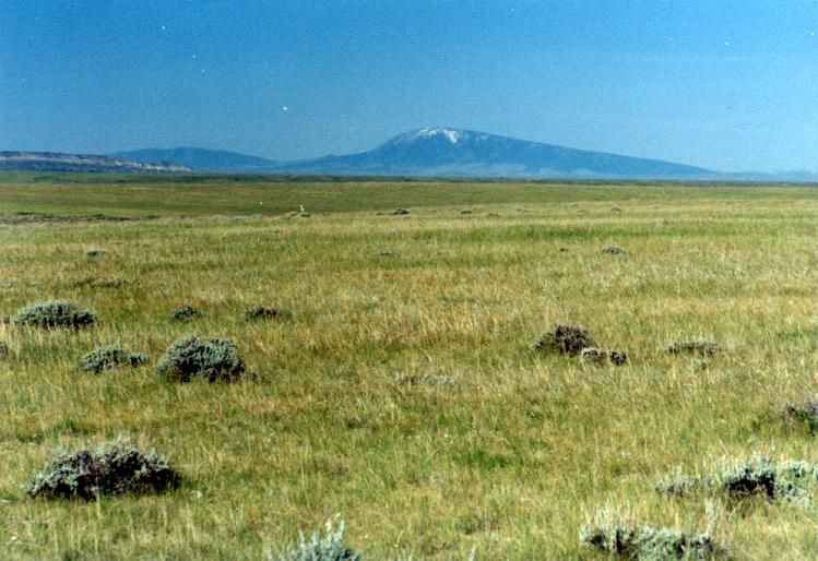 Medicine Bow, Albany County, WY Recreational Property, Undeveloped Land