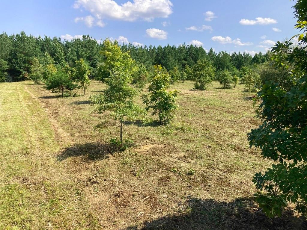 Robbins, Scott County, TN Recreational Property, Hunting Property