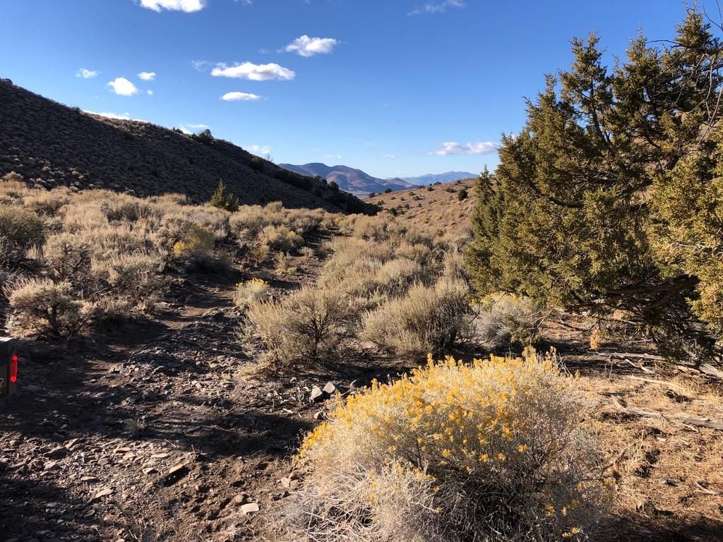 Reno, Washoe County, NV Recreational Property, Undeveloped Land for