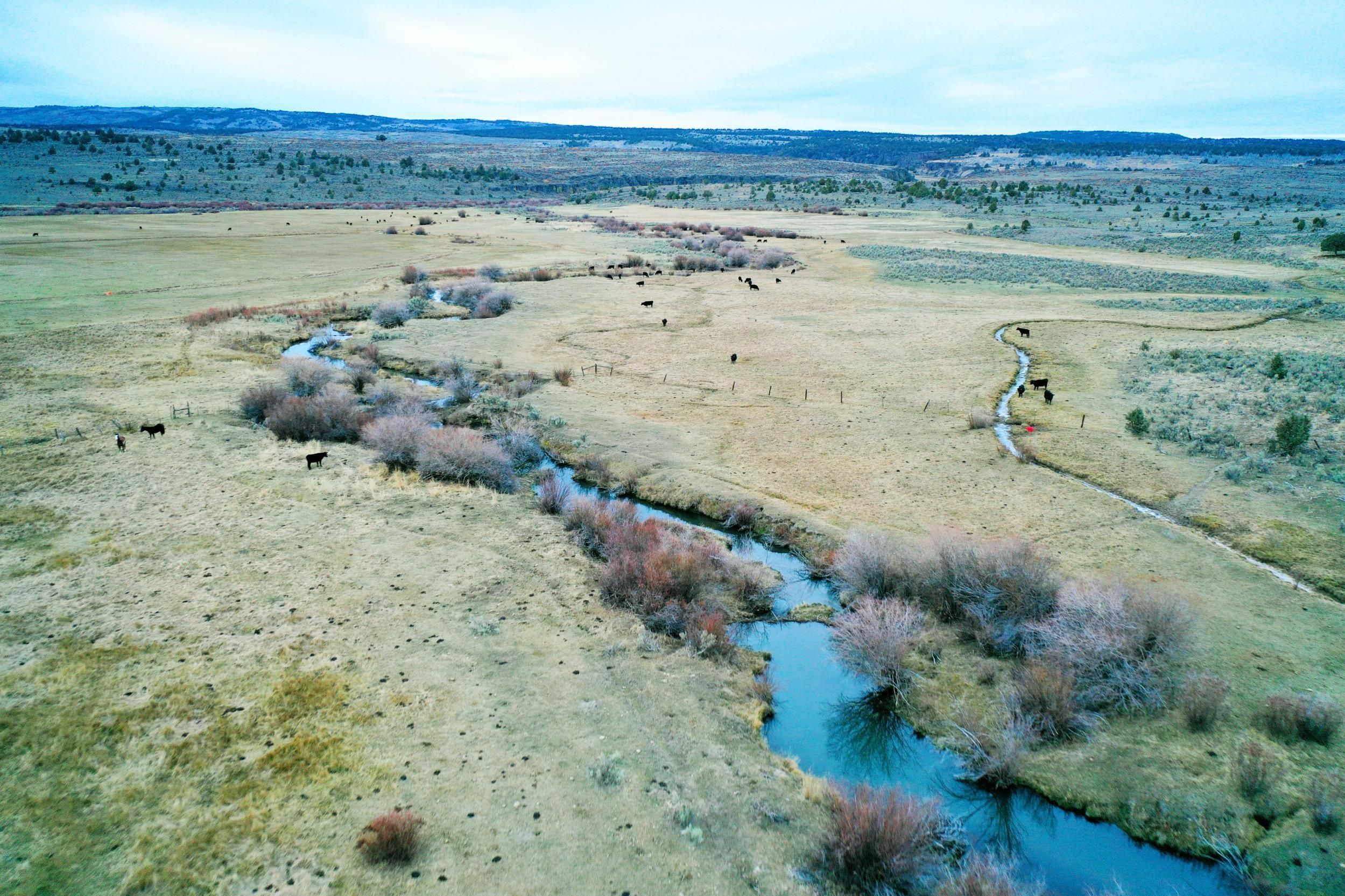 11747 / 13788 Flint Creek Rd, Oreana, ID 83650 LandWatch