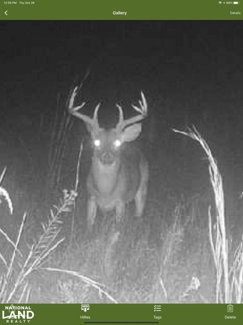 Saint Francisville, West Feliciana Parish, LA Recreational Property