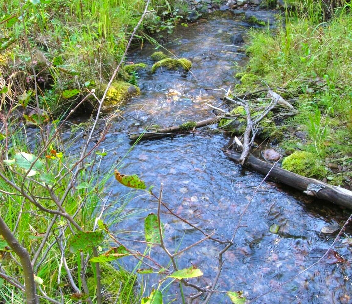 Vail, Eagle County, CO Recreational Property, Riverfront Property