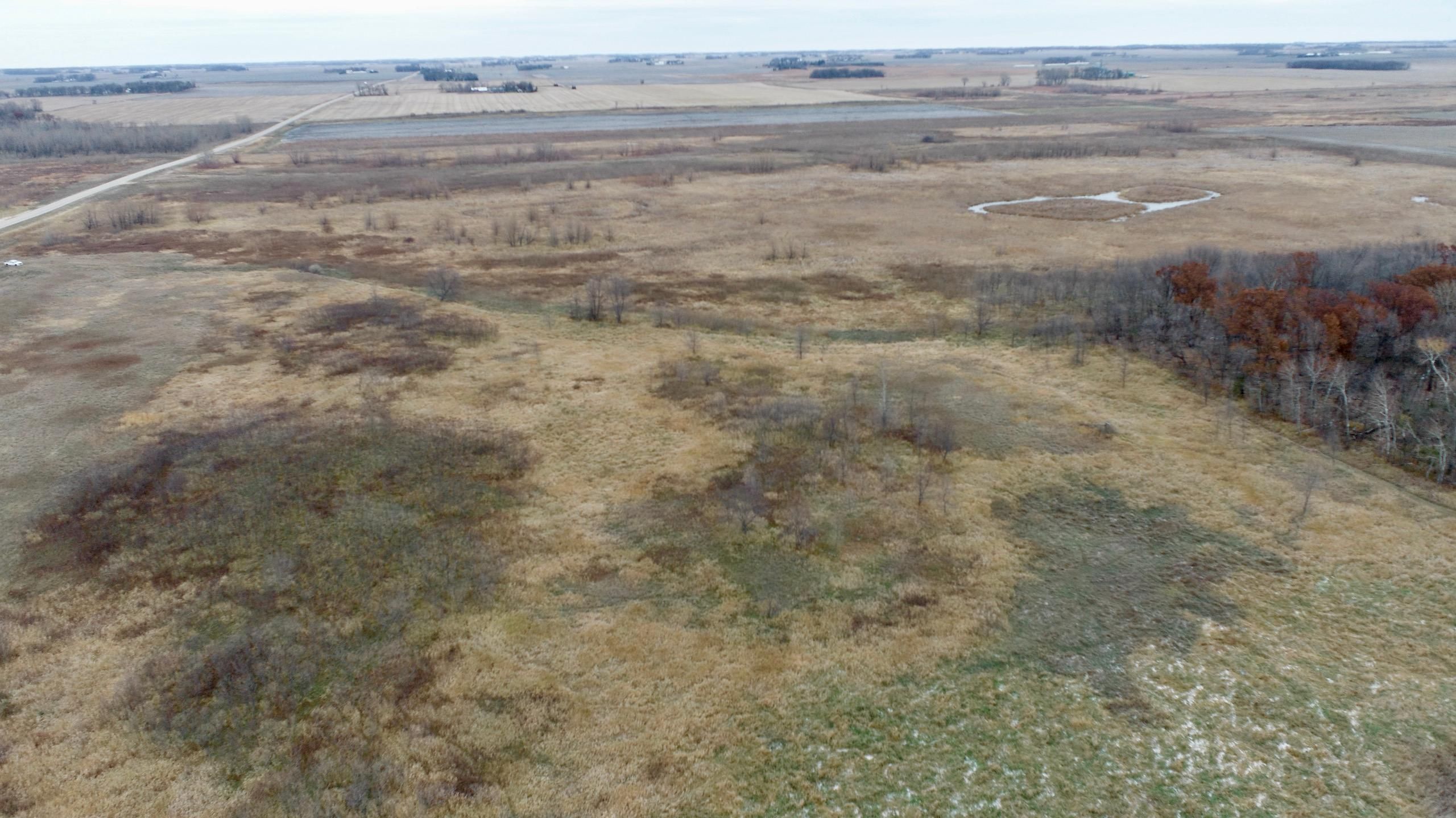 Hollandale, Freeborn County, MN Recreational Property, Hunting Property