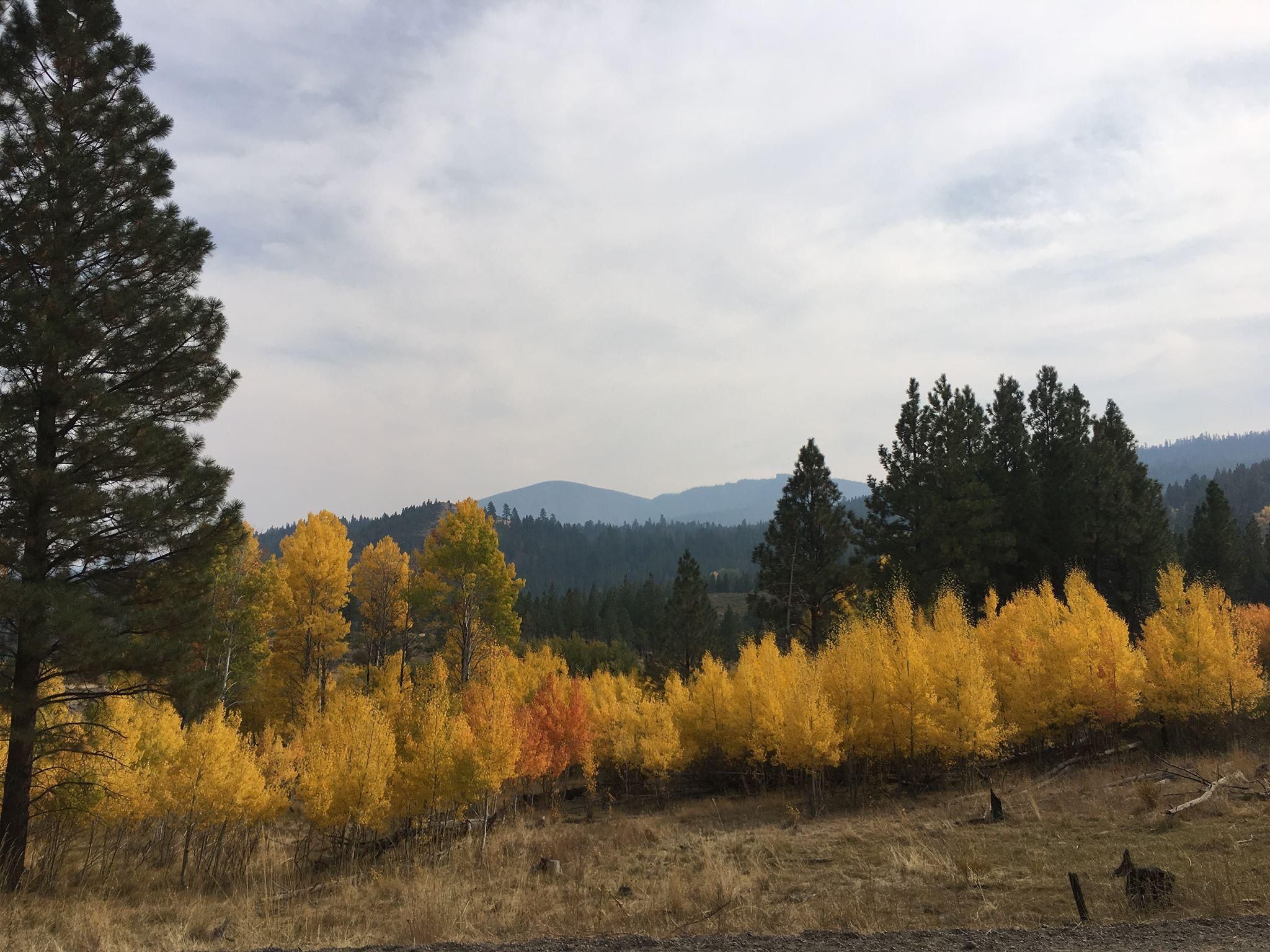 Paisley, Lake County, OR Recreational Property, Undeveloped Land