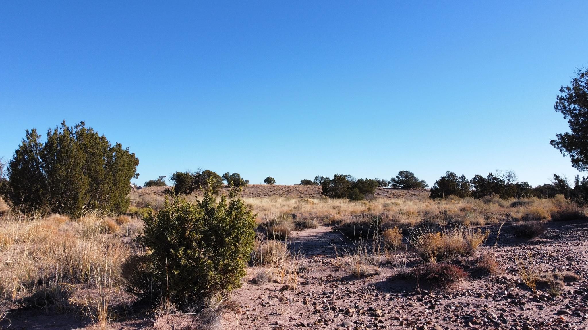 Snowflake, Navajo County, AZ Recreational Property, Undeveloped Land