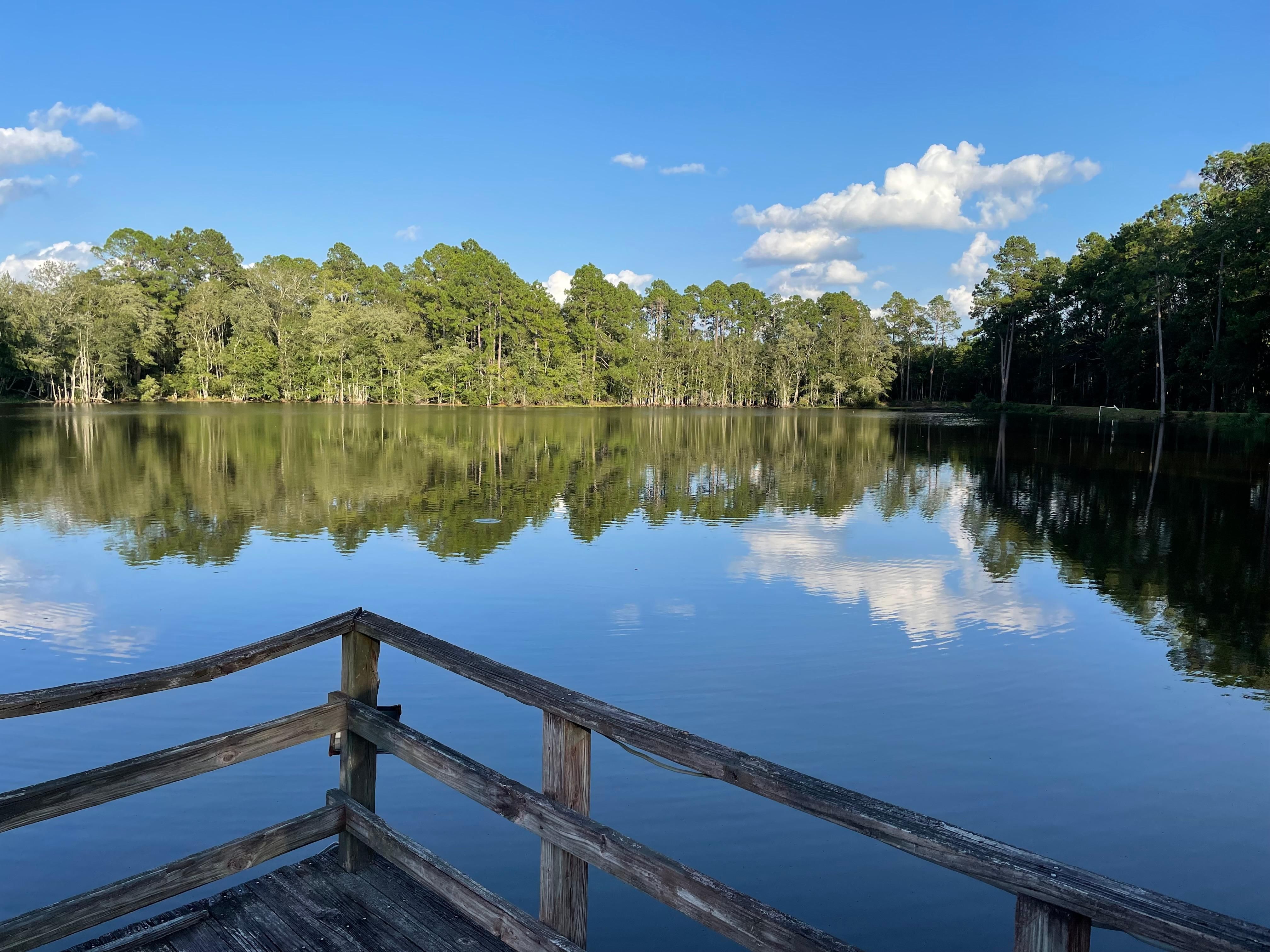 Twin City, Emanuel County, GA Recreational Property, Lakefront Property