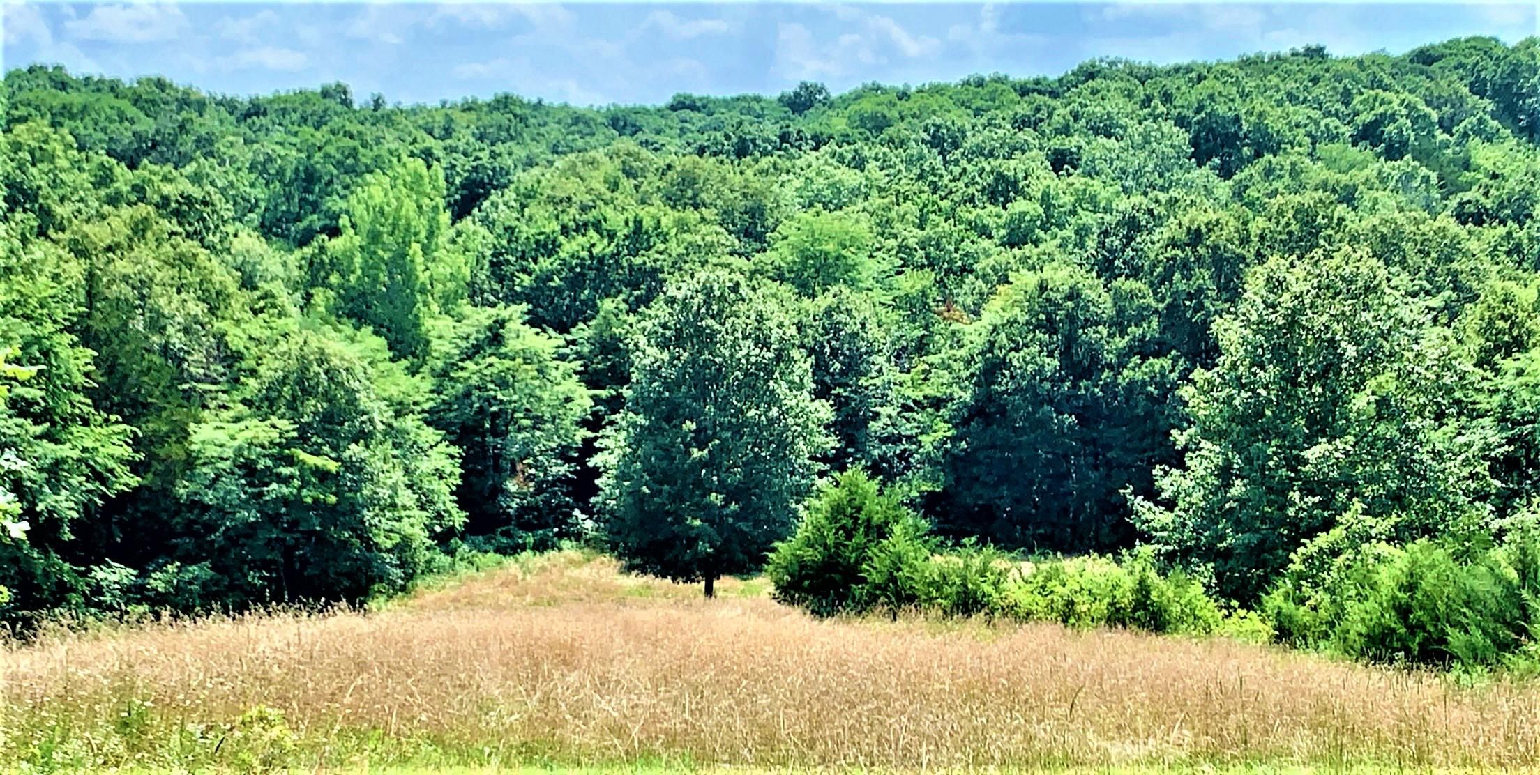 La Plata, Adair County, MO Recreational Property, Hunting Property for