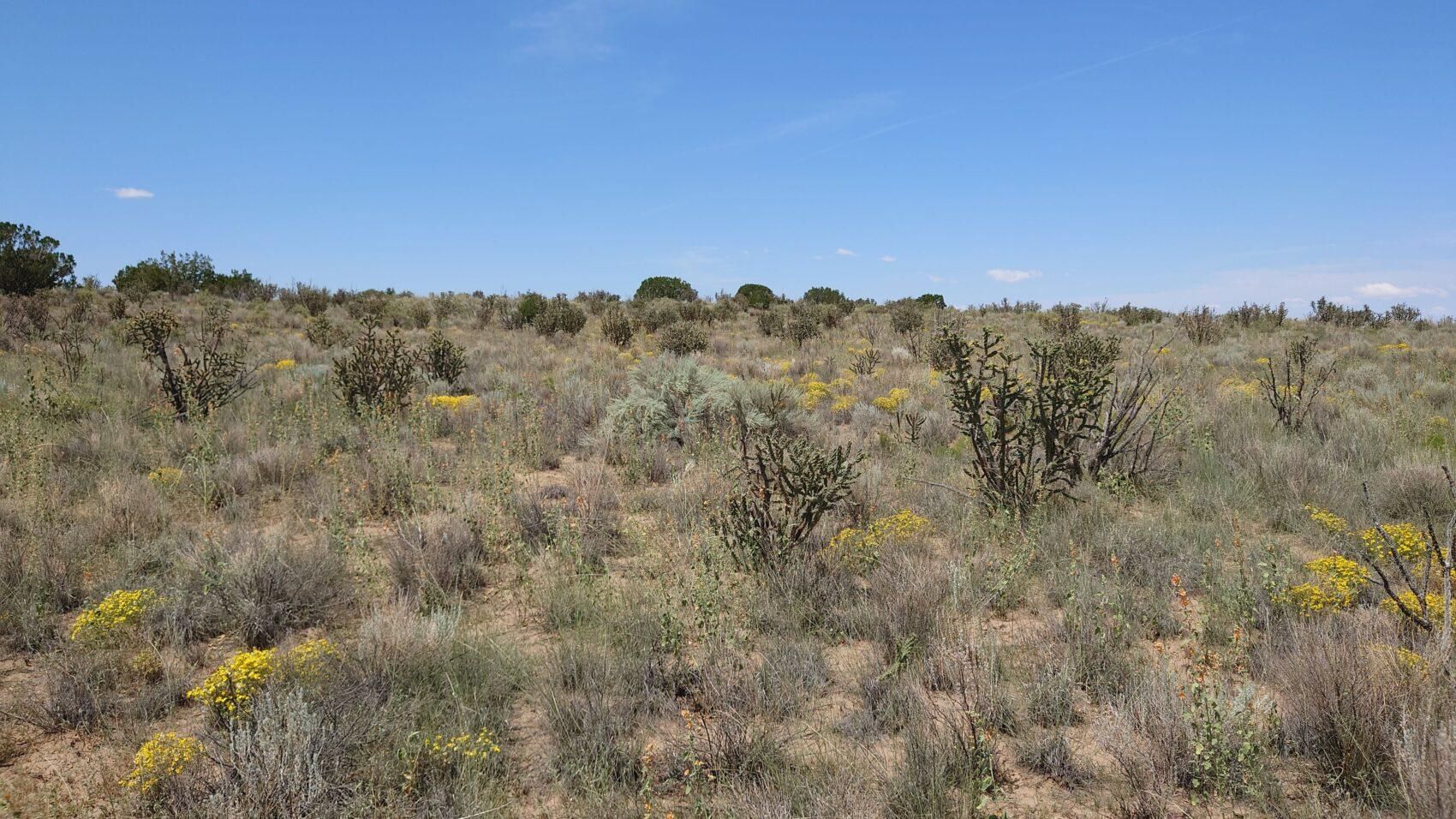 Rio Rancho, Sandoval County, NM Recreational Property, Hunting Property