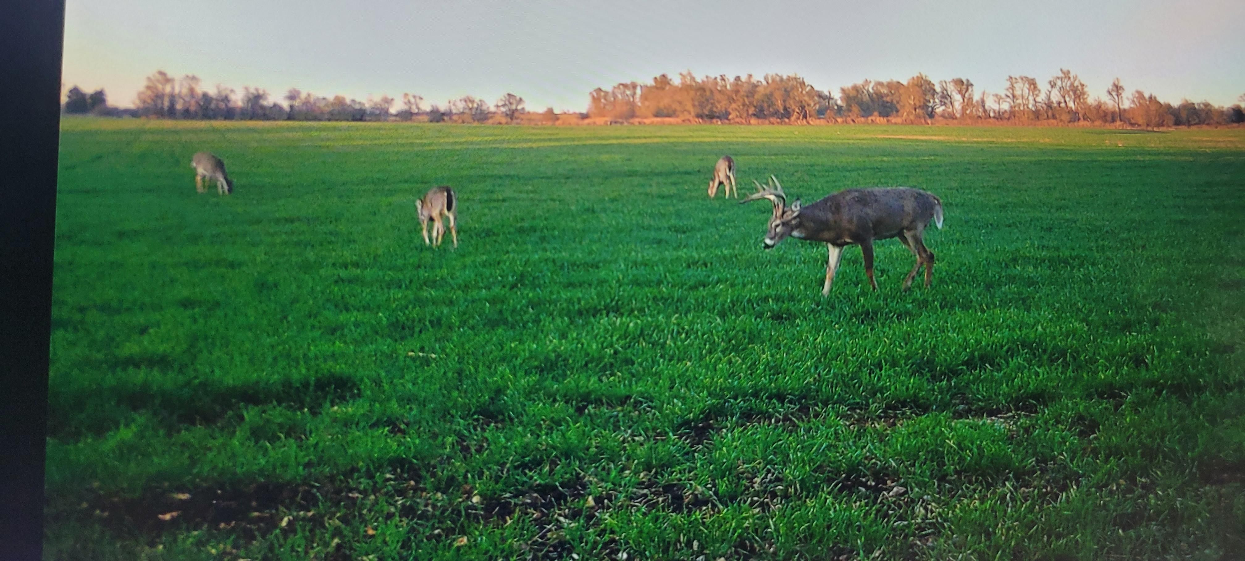 Harper, Harper County, KS Hunting Property for sale Property ID