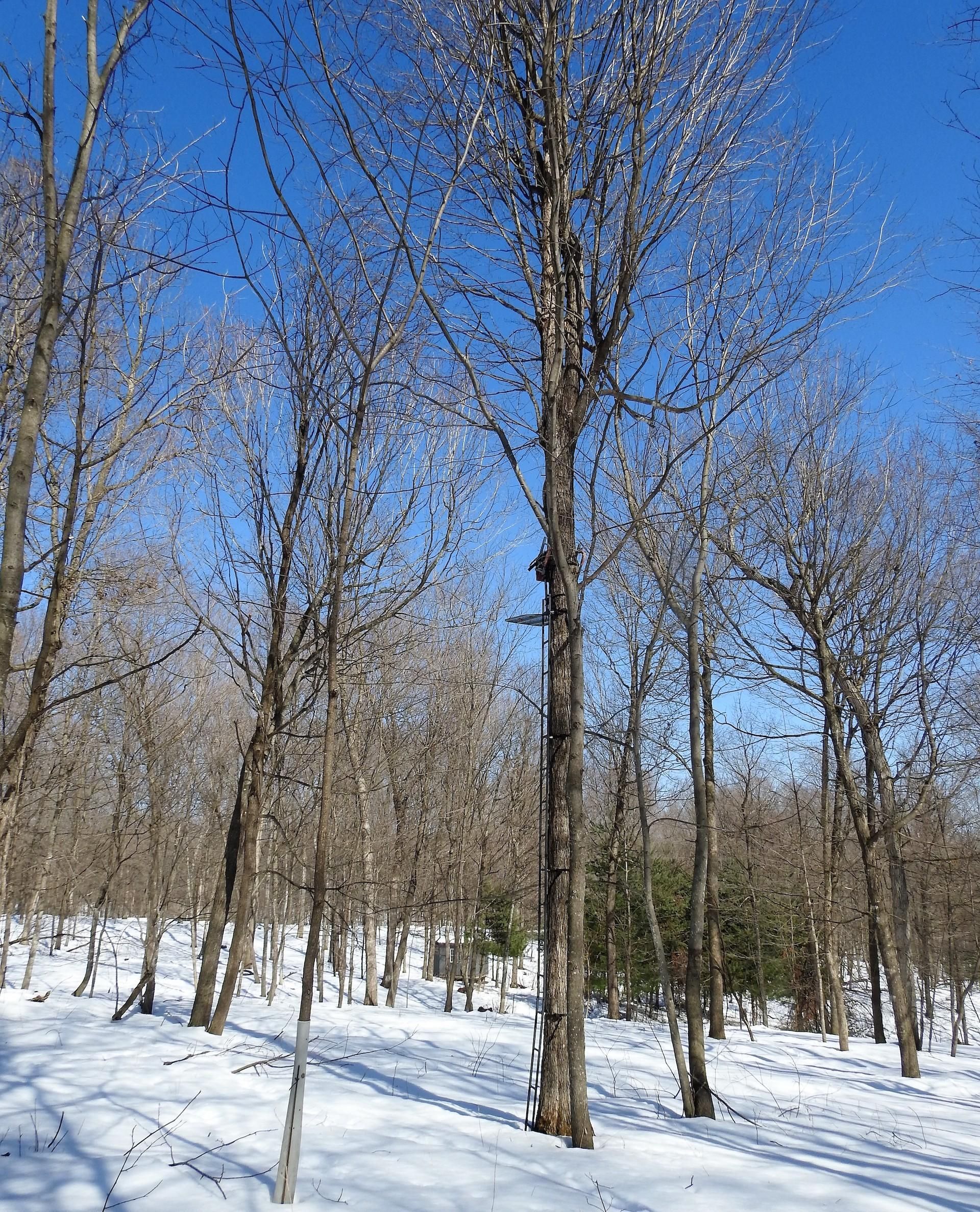 Garnavillo, Clayton County, IA Recreational Property, Undeveloped Land, Hunting Property for