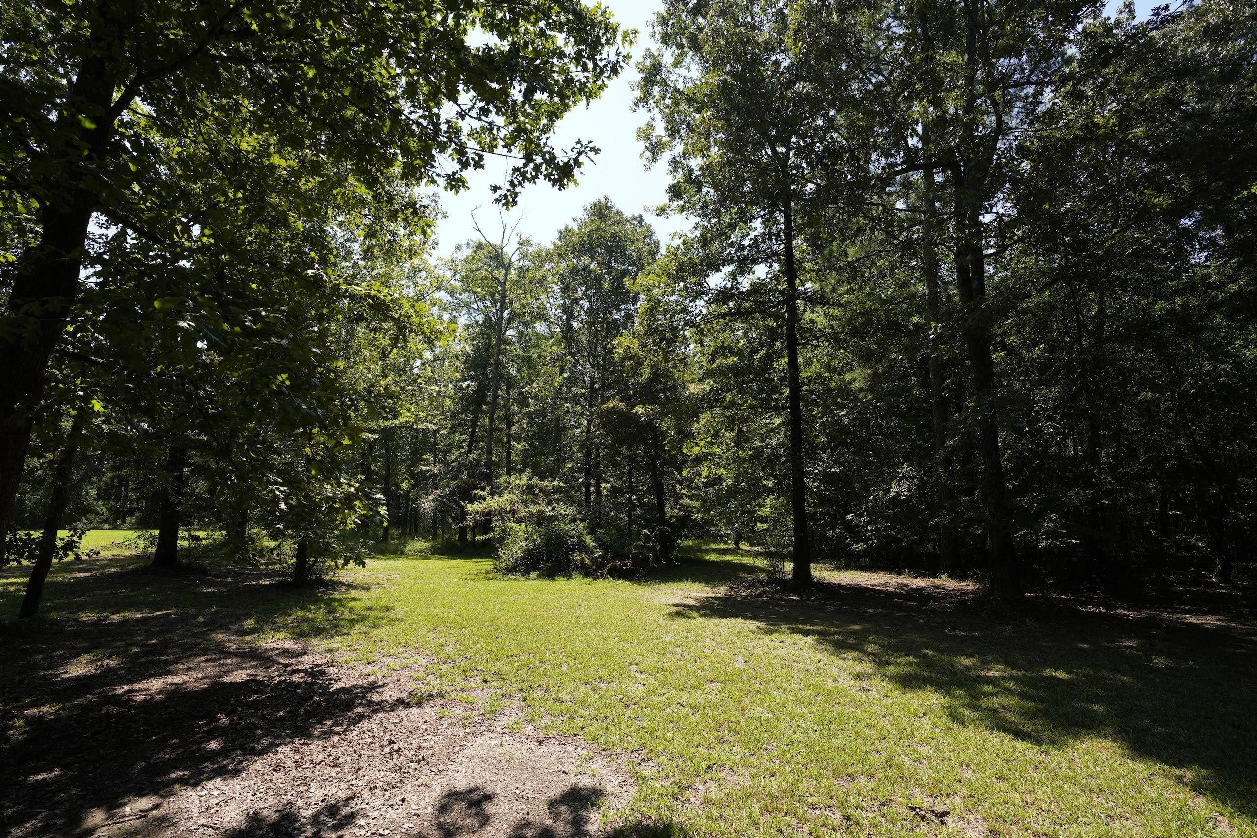 Cedar Bluff, Cherokee County, AL Recreational Property, Lakefront