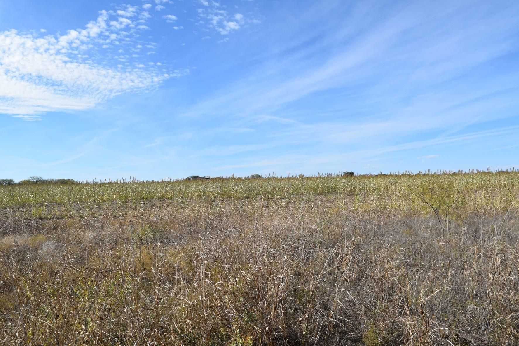 Talpa, Coleman County, TX Farms and Ranches, Hunting Property for sale