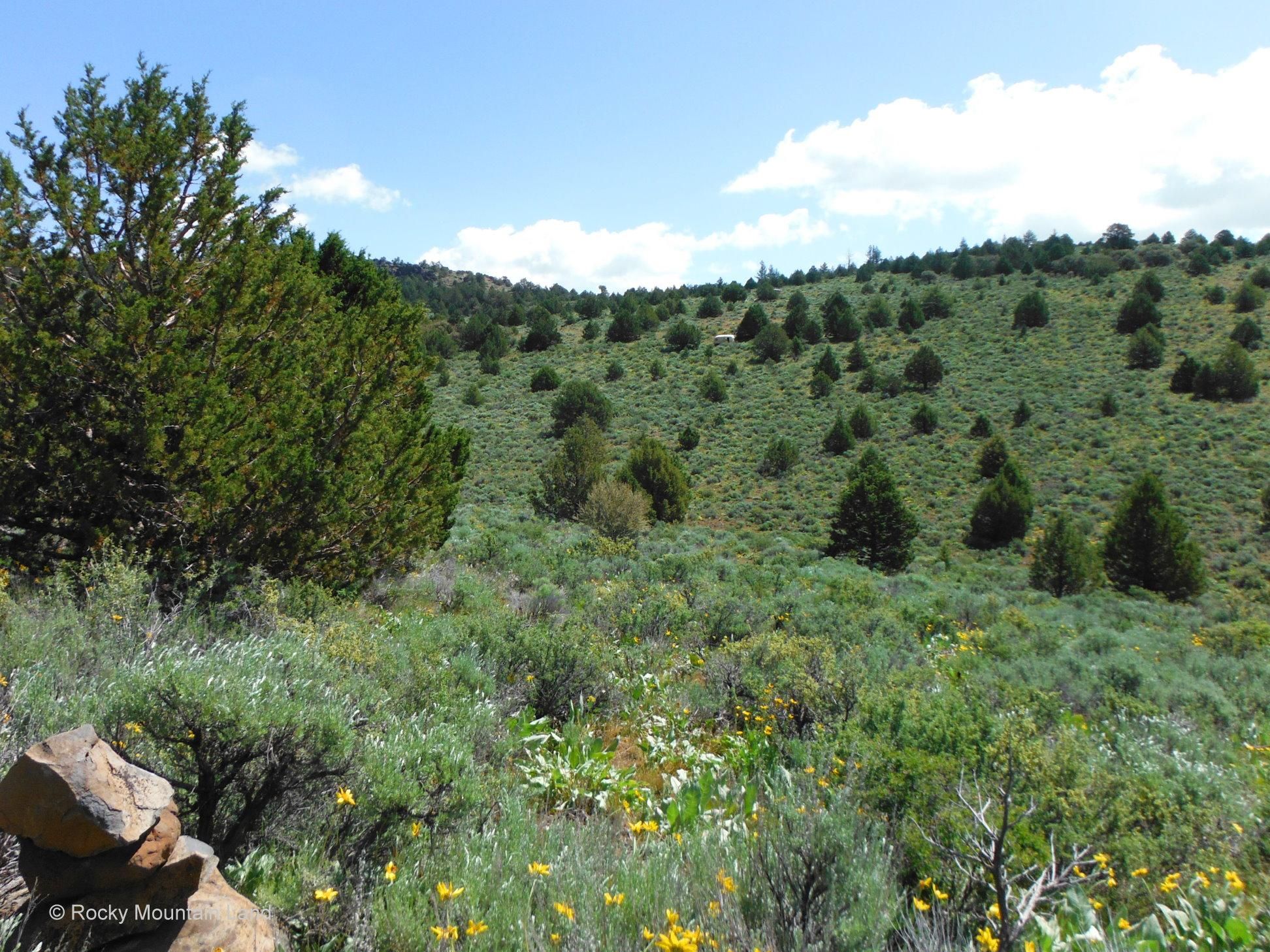 Raccoon Road, Madeline, CA 96132 LandWatch