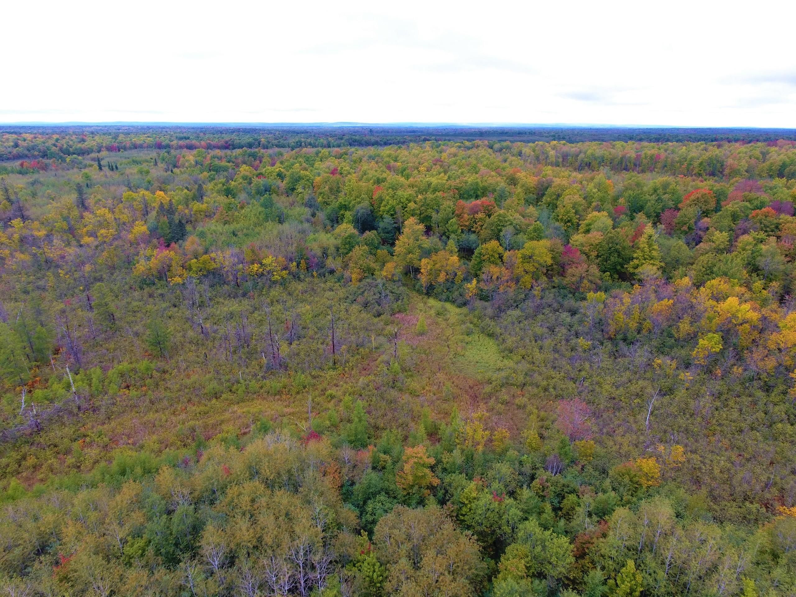 Ladysmith, Rusk County, WI Recreational Property, Timberland Property