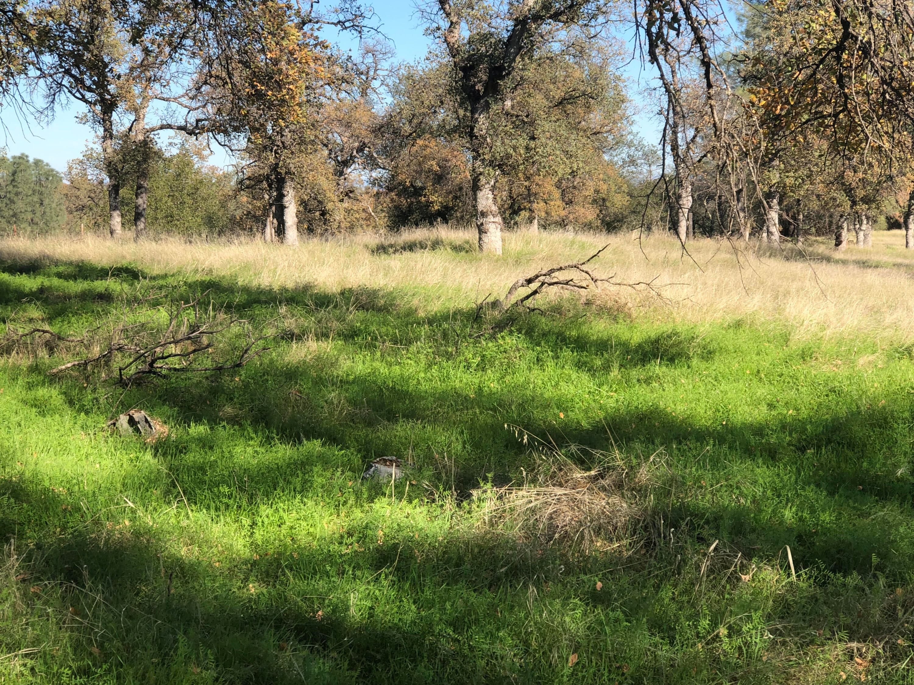 Millville, Shasta County, CA Undeveloped Land for sale Property ID