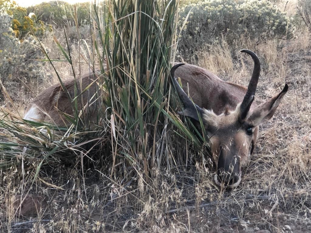 Gerlach, Washoe County, NV Recreational Property, Undeveloped Land for
