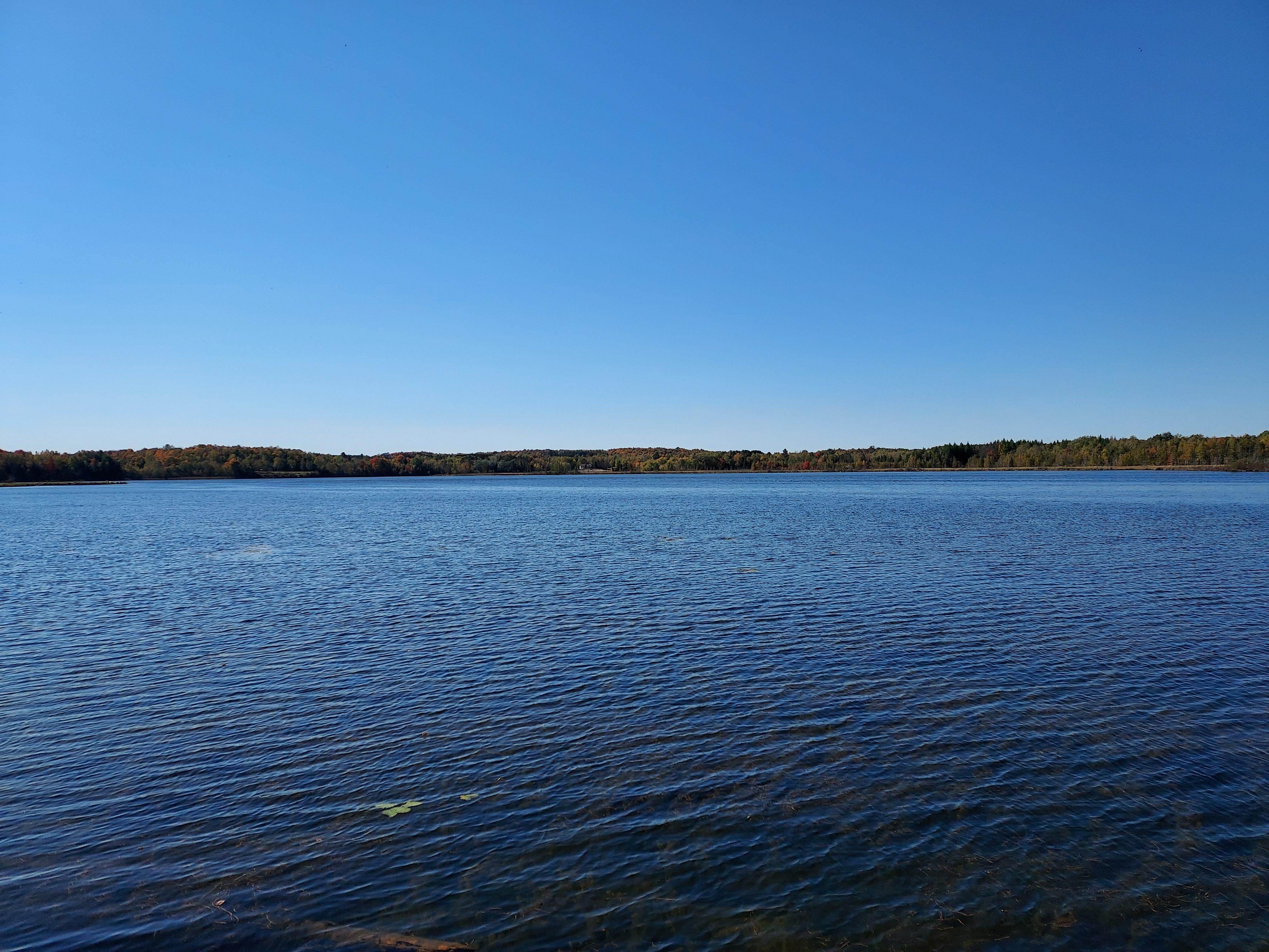 Crandon, Forest County, WI Recreational Property, Timberland Property