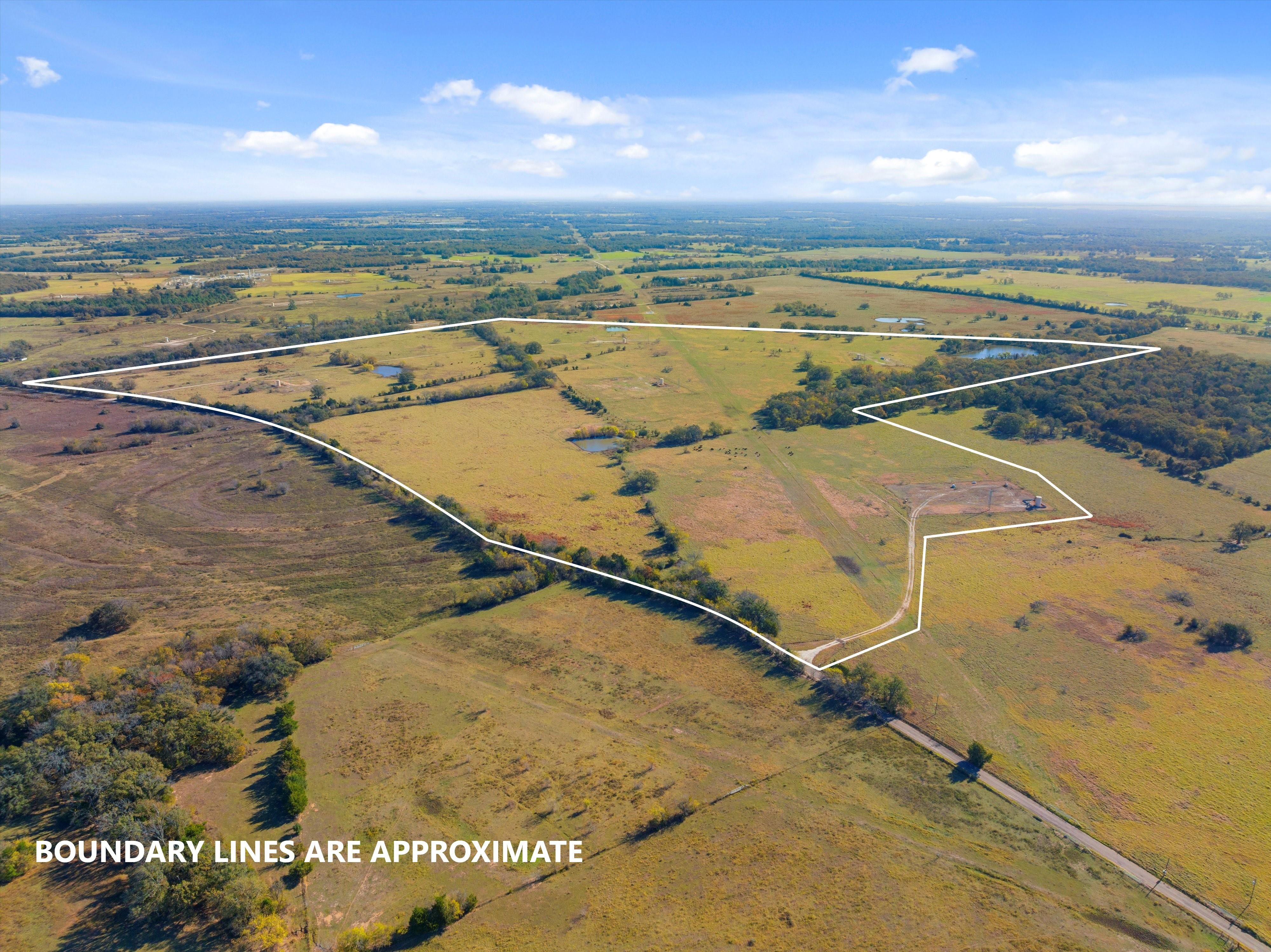 Teague, Freestone County, TX Farms and Ranches, Horse Property for sale