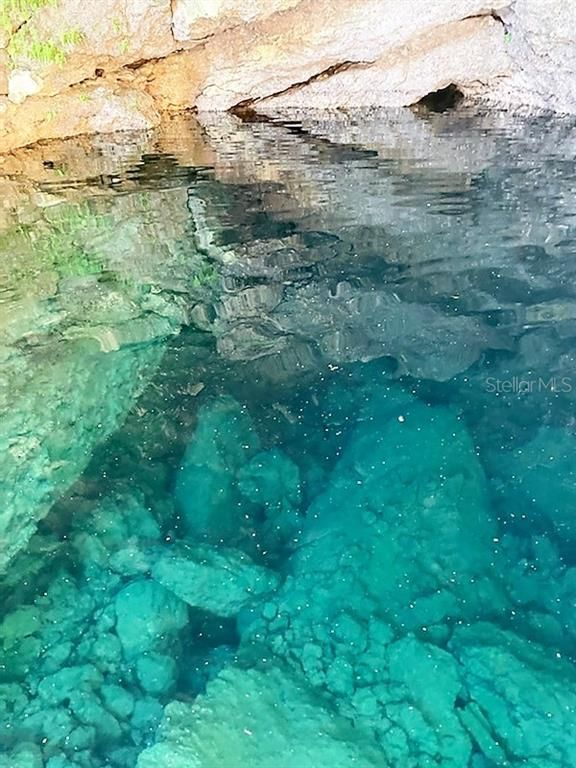 Williston, Levy County, FL Timberland Property, Undeveloped Land