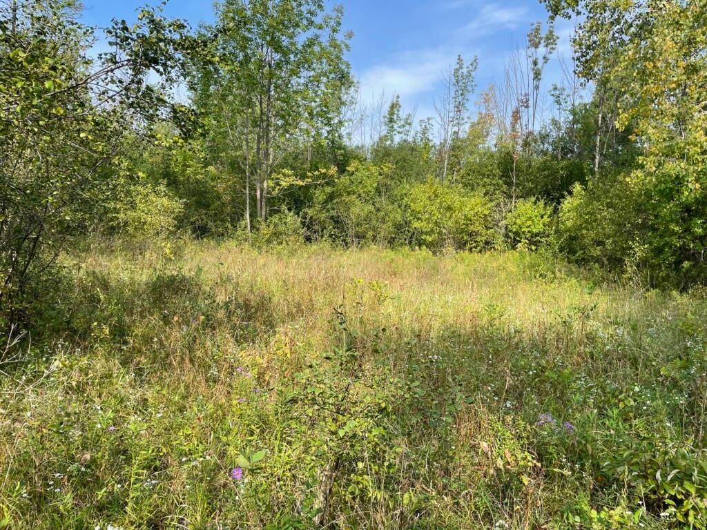 Hamburg, Erie County, NY Recreational Property, Undeveloped Land