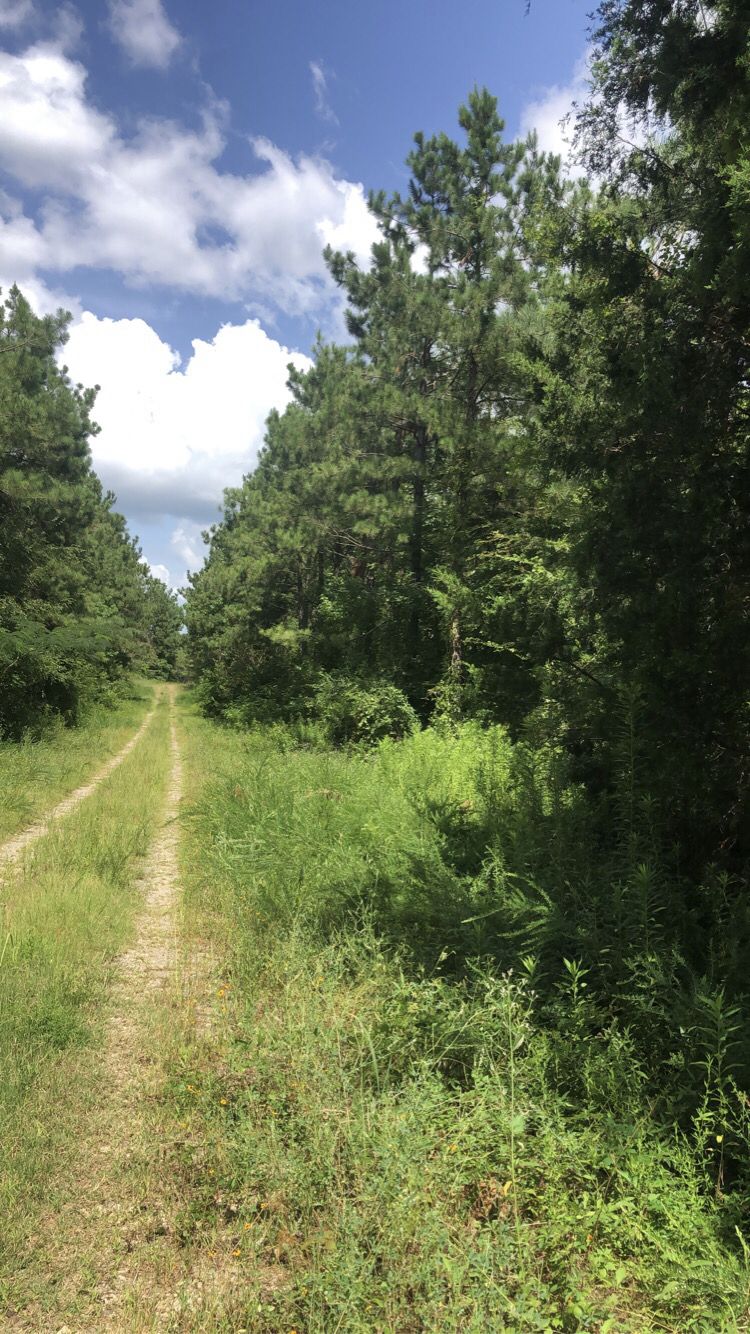 165 acres in Timpson, TX, 75975 LandWatch