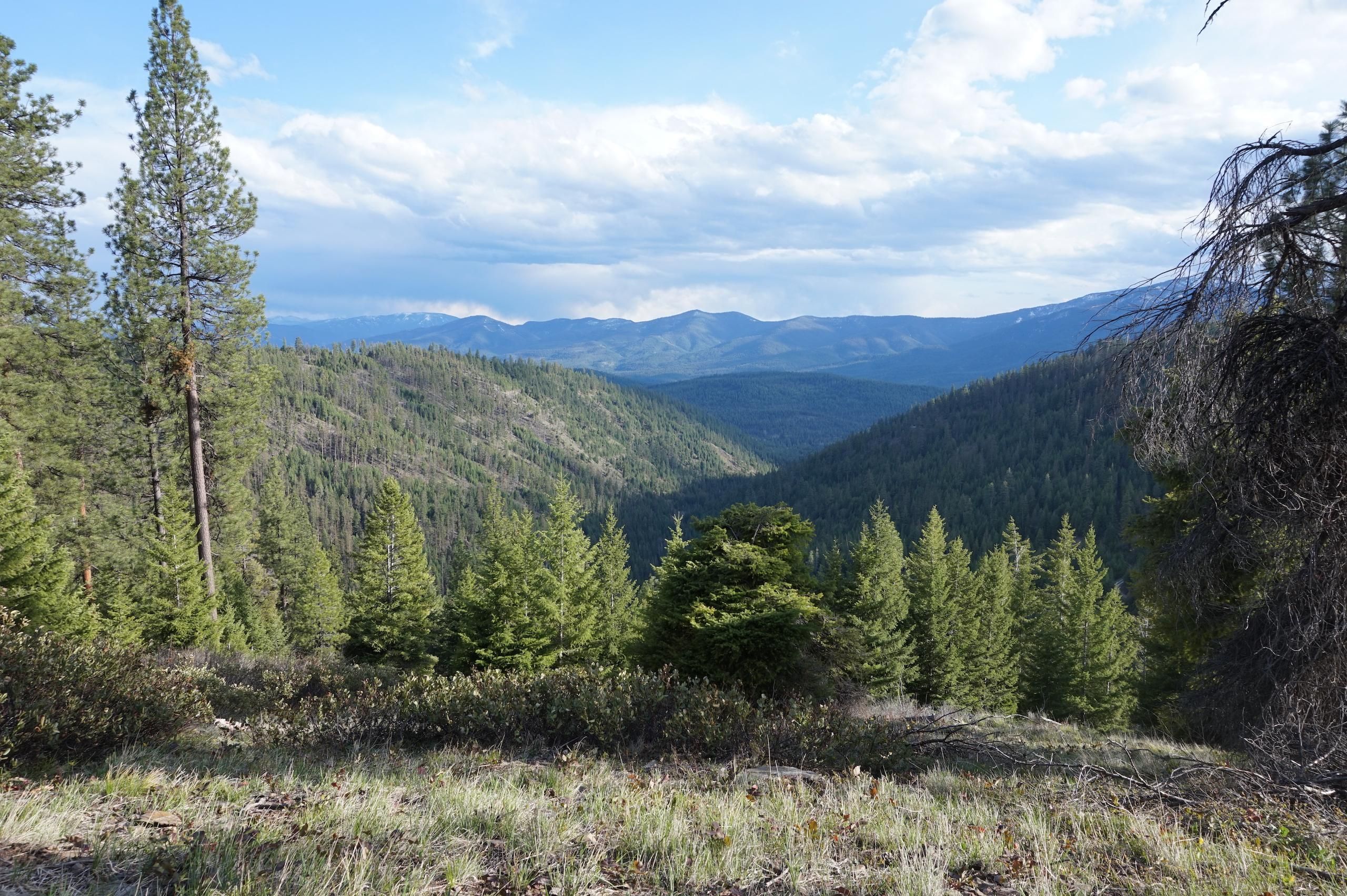 Huson, Missoula County, MT Farms and Ranches, Recreational Property