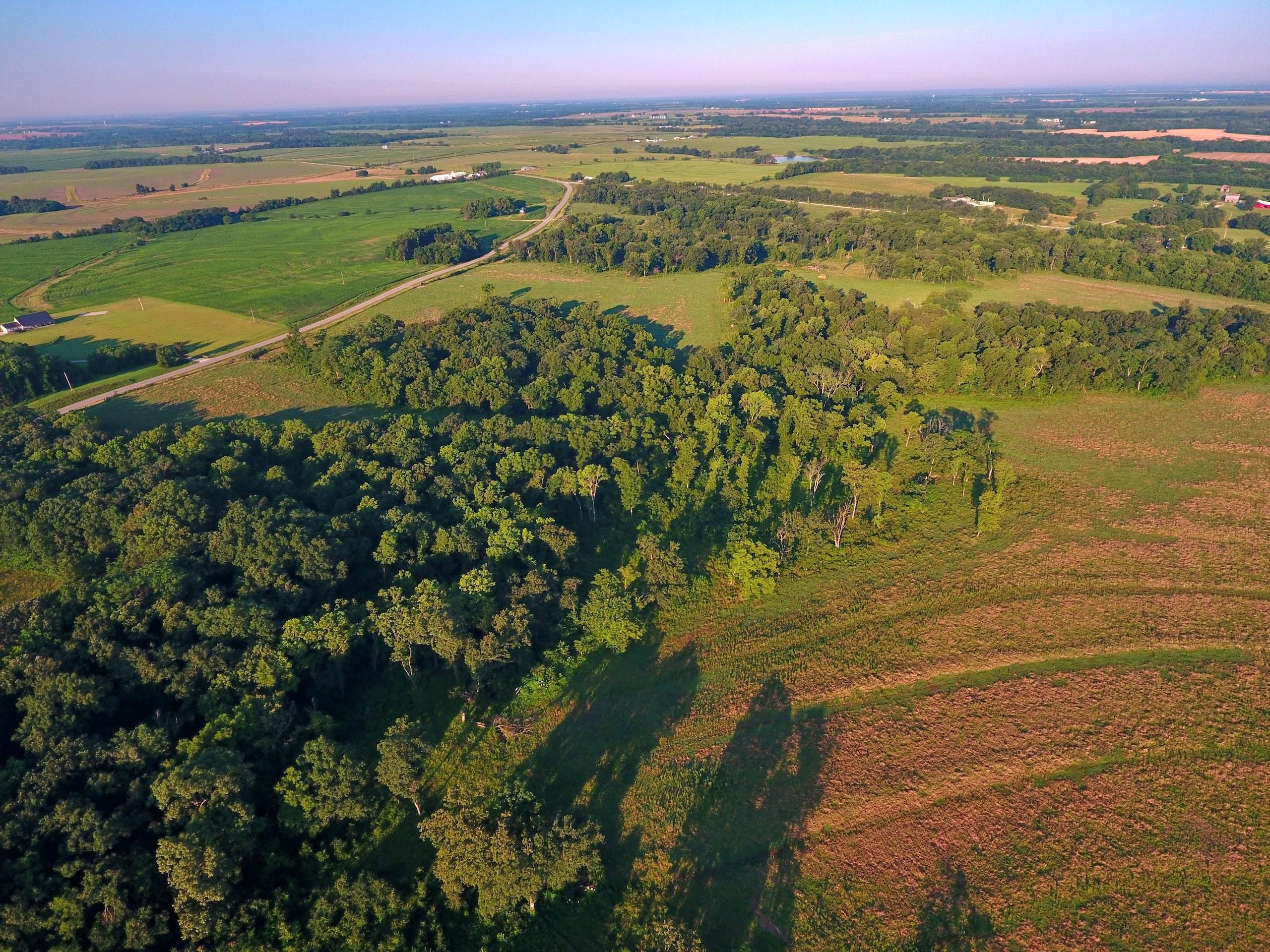 Houstonia, Pettis County, MO Farms and Ranches, Timberland Property
