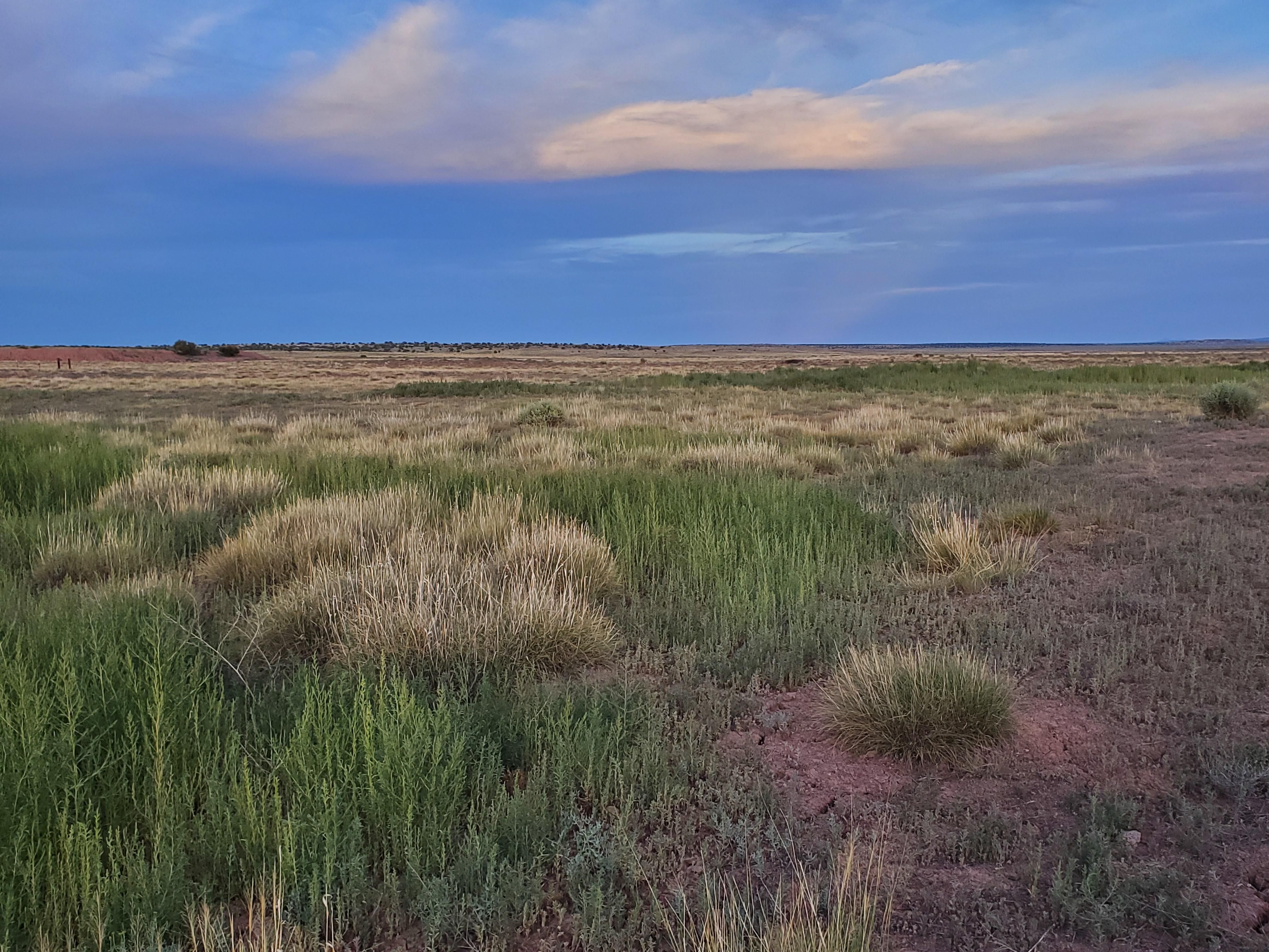 Sanders, Apache County, AZ Recreational Property, Undeveloped Land