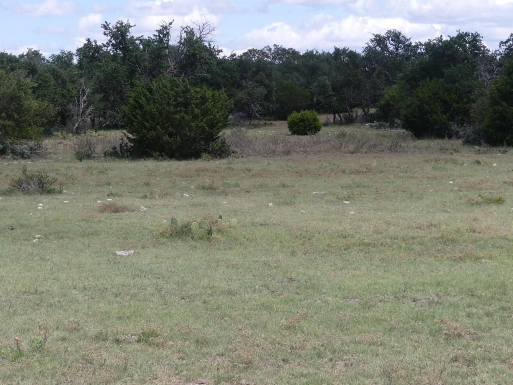 52 acres in Menard, TX, 76859 MLS Live Oak Rolling Terrain LandWatch