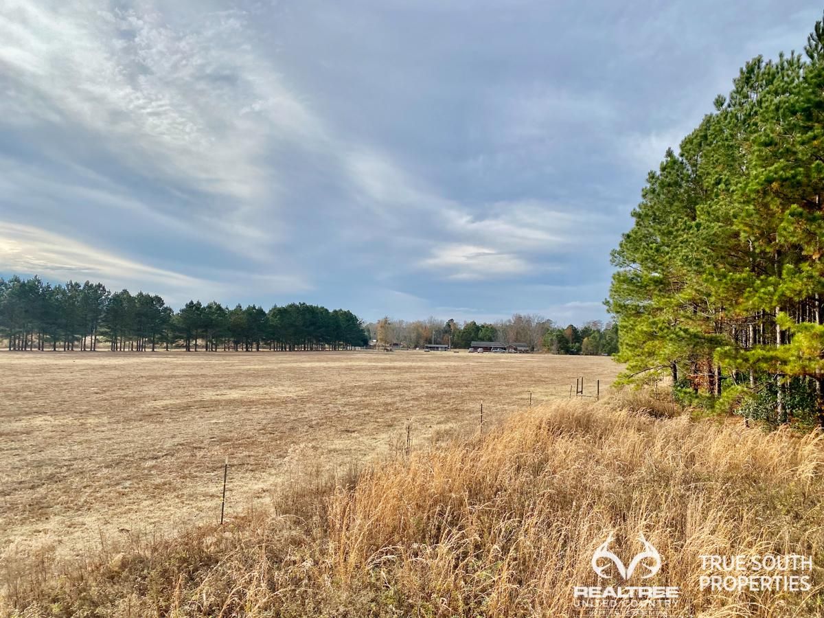 Fairfax, Allendale County, SC Farms and Ranches, Hunting Property
