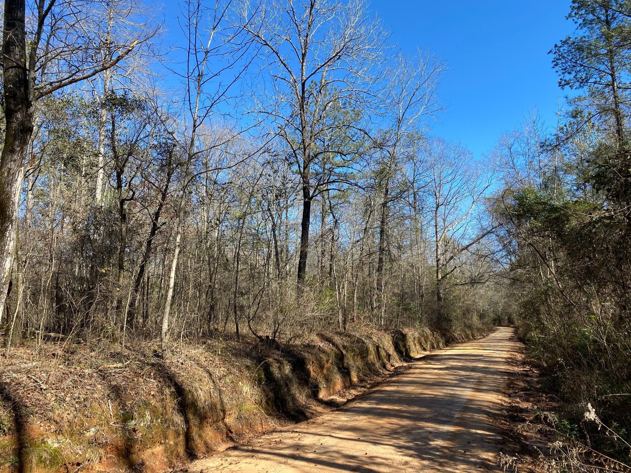 41 St Harper Rd, Ellaville, GA 31806 LandWatch