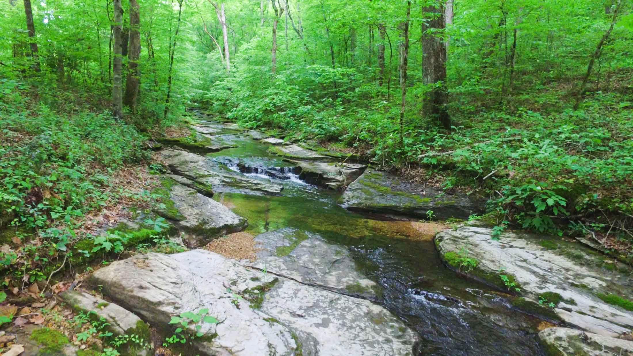 Savannah Hardin County TN Farms And Ranches Timberland Property 