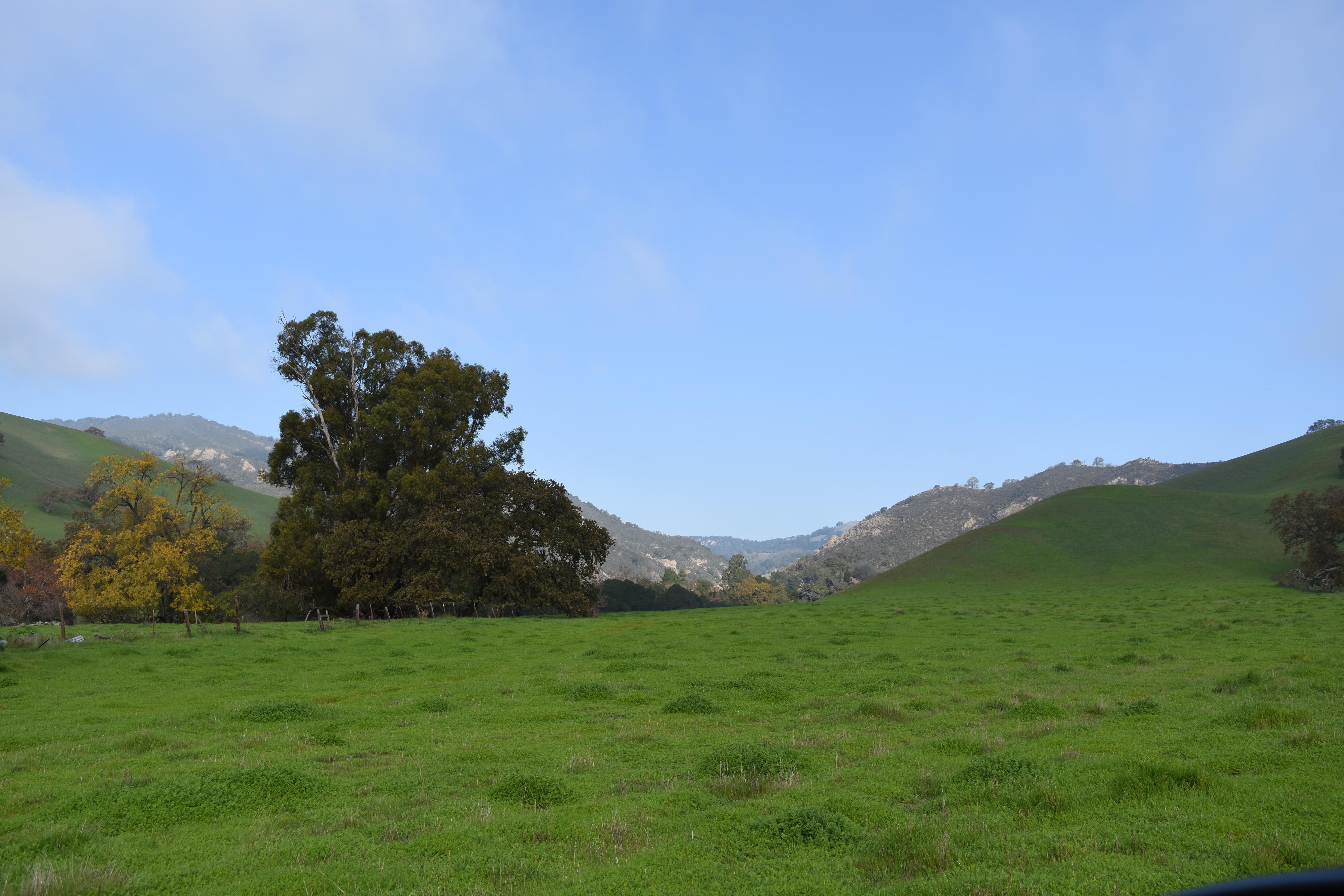 1700 Finley Road, Pleasanton, CA 94588 MLS ML81869620 LandWatch