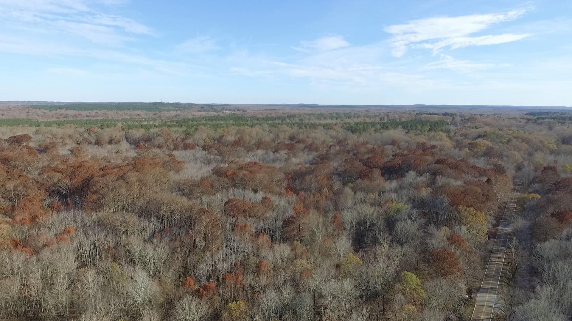 Pocahontas, Hardeman County, TN Recreational Property, Timberland