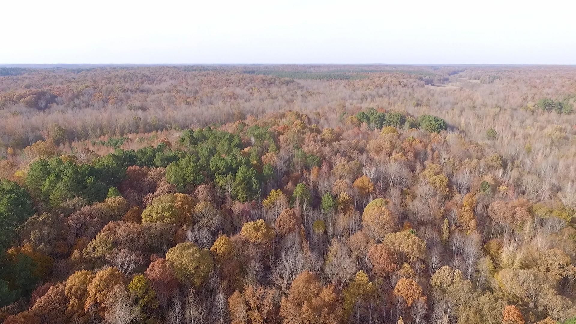 Holladay, Decatur County, TN Recreational Property, Timberland Property