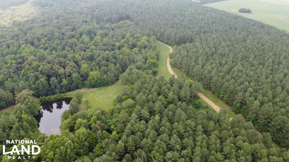 Bolivar, Hardeman County, TN Recreational Property, Timberland Property