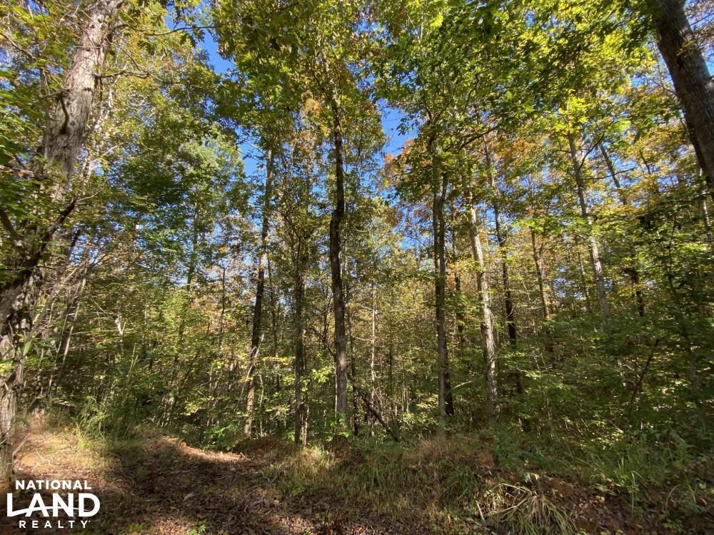 0 Co. Rd. 51, Greensboro, AL 36744 LandWatch